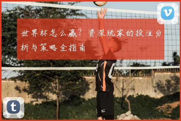 世界杯怎么赢？资深玩家的投注分析与策略全指南