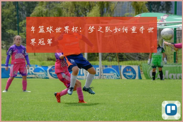 年篮球世界杯：梦之队如何重夺世界冠军