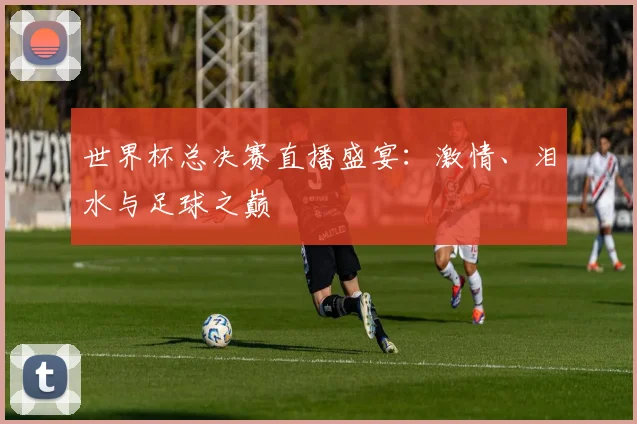 世界杯总决赛直播盛宴：激情、泪水与足球之巅