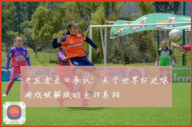 开发者亲口承认：关于世界杯进球游戏破解版的全部真相