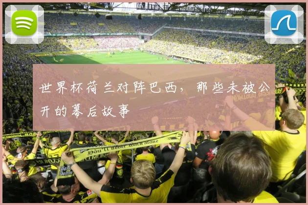 世界杯荷兰对阵巴西，那些未被公开的幕后故事